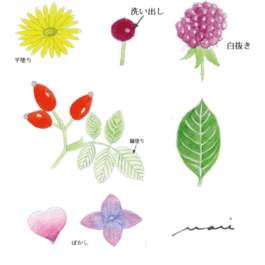 ボタニカルアート塗り方一日体験講座
