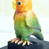 松崎　リコ　　「インコ」