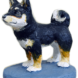 成田　「柴犬」